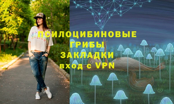 ALPHA-PVP Надым
