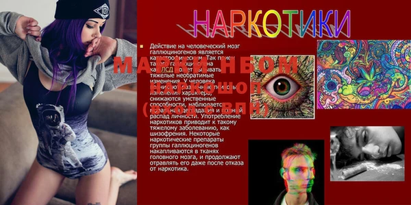 ГАЛЛЮЦИНОГЕННЫЕ ГРИБЫ Наволоки