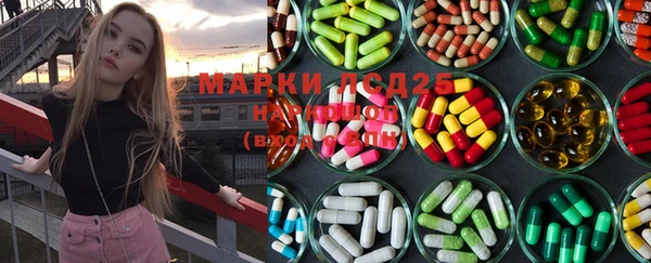 ГАЛЛЮЦИНОГЕННЫЕ ГРИБЫ Наволоки