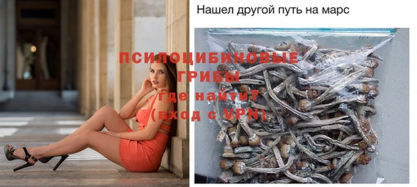 прущие грибы Алагир