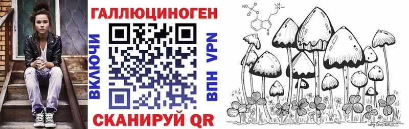 Галлюциногенные грибы Psilocybine cubensis  Долгопрудный 